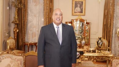 أيمن العشري